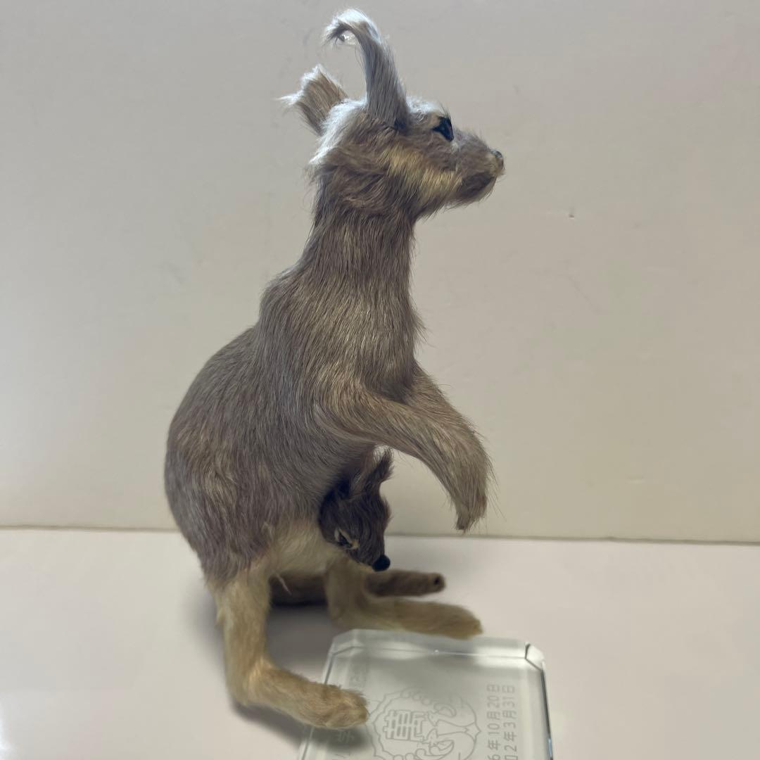 超リアル　カンガルー お腹の袋に子供　繊細な工芸品 全長16㎝　高さ18㎝