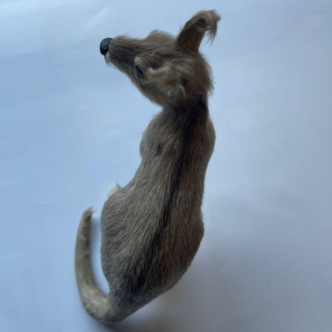 超リアル　カンガルー お腹の袋に子供　繊細な工芸品 全長16㎝　高さ18㎝