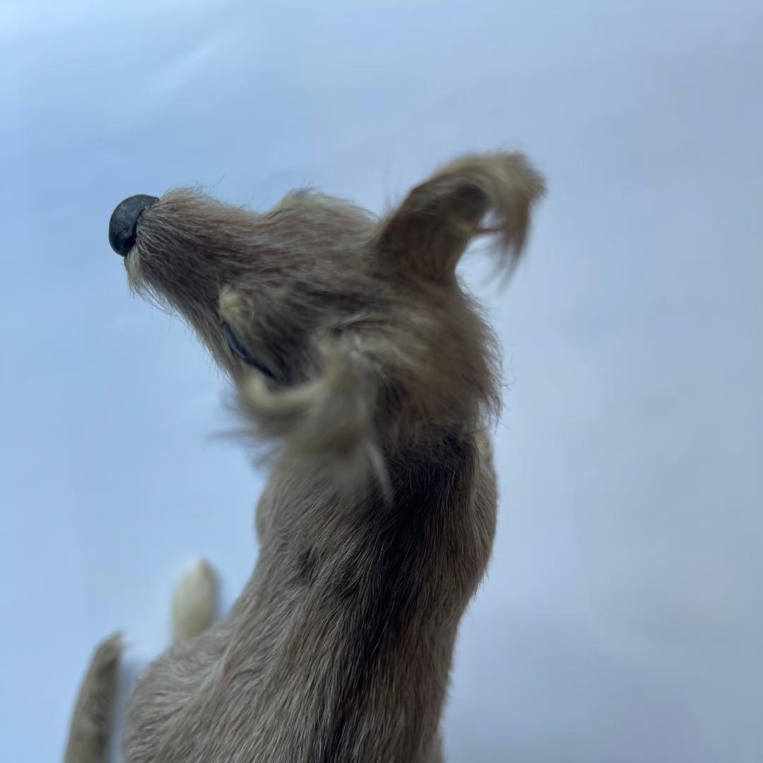 超リアル　カンガルー お腹の袋に子供　繊細な工芸品 全長16㎝　高さ18㎝