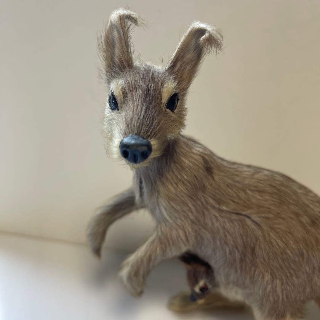 超リアル　カンガルー お腹の袋に子供　繊細な工芸品 全長16㎝　高さ18㎝
