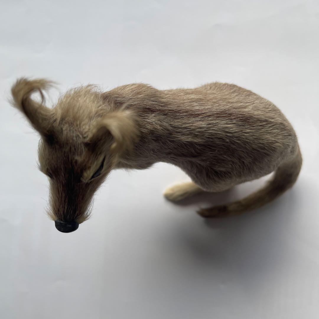 超リアル　カンガルー お腹の袋に子供　繊細な工芸品 全長16㎝　高さ18㎝