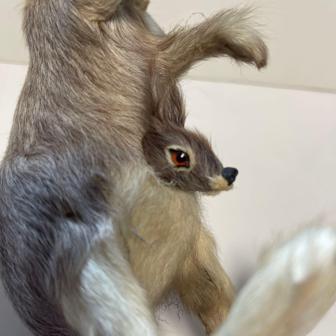 超リアル　カンガルー お腹の袋に子供　繊細な工芸品 全長16㎝　高さ18㎝