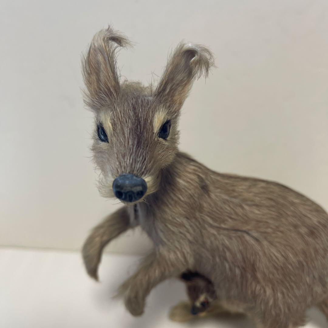 超リアル　カンガルー お腹の袋に子供　繊細な工芸品 全長16㎝　高さ18㎝