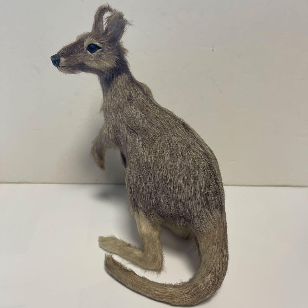 超リアル　カンガルー お腹の袋に子供　繊細な工芸品 全長16㎝　高さ18㎝