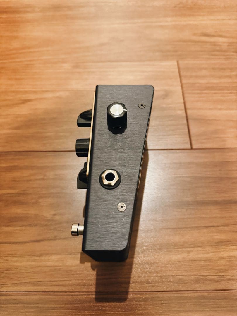 ギター Beetronics SWARM