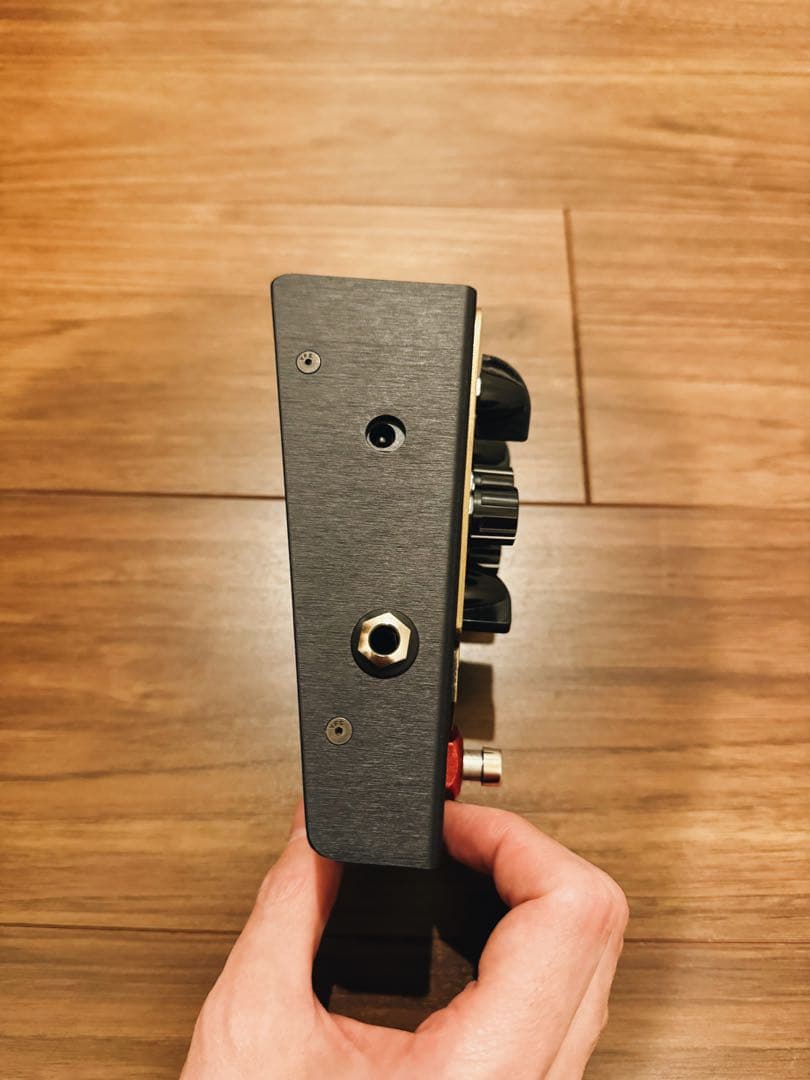 ギター Beetronics SWARM