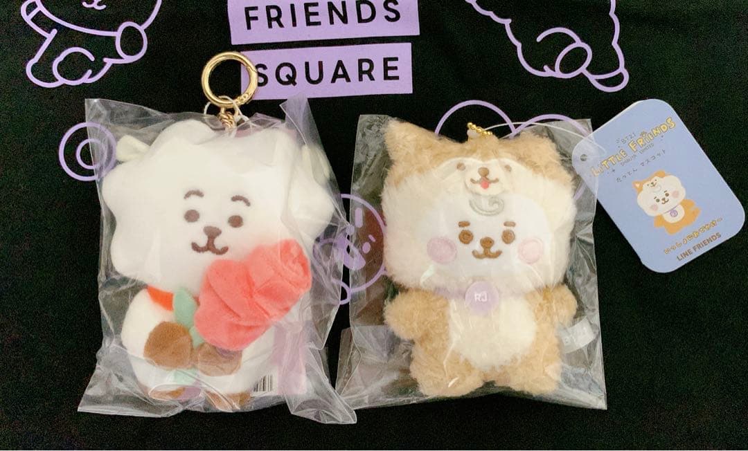 ソンミンス BT21 RJ SPRING DAY ぬいぐるみ キーリング Jin