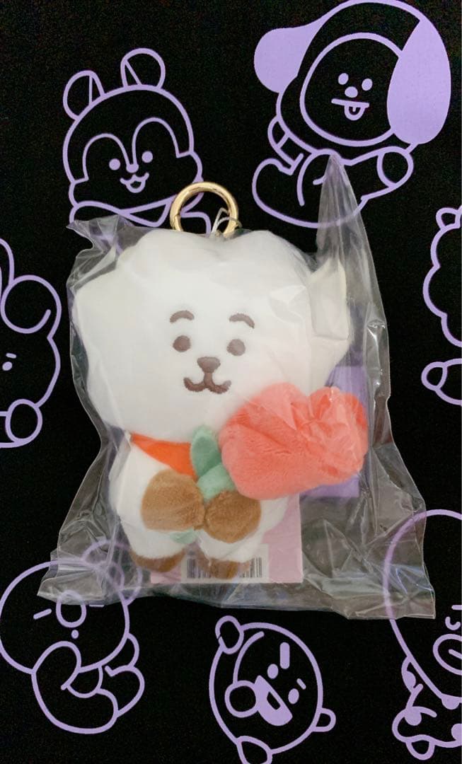 ソンミンス BT21 RJ SPRING DAY ぬいぐるみ キーリング Jin