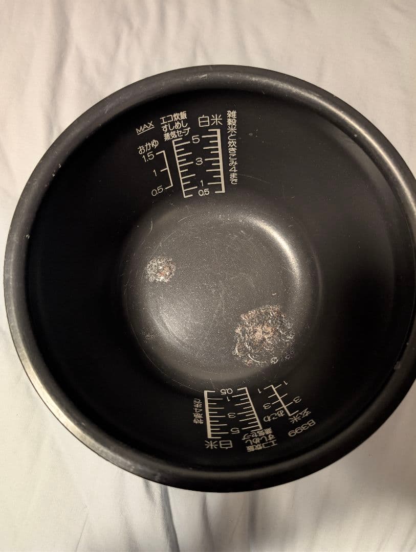 象印 南部鉄器 極め羽釜 NP-WS10