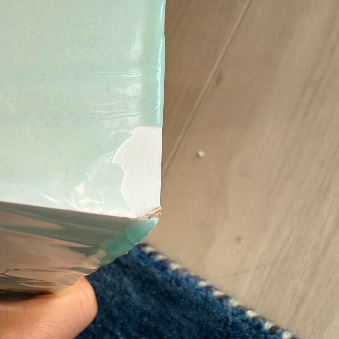 【原画】 訳アリ！サラカードル Sarah Caudle 箱付き 8×8