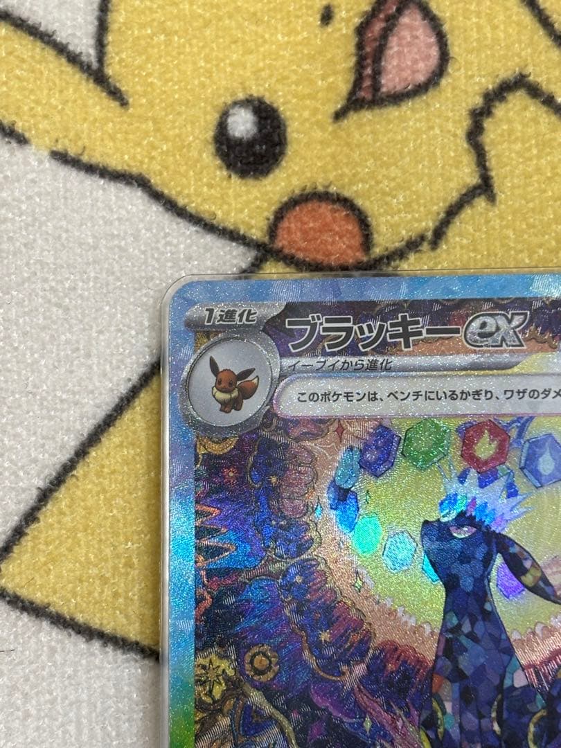 テラスタルフェスex ブラッキーex SAR 美品