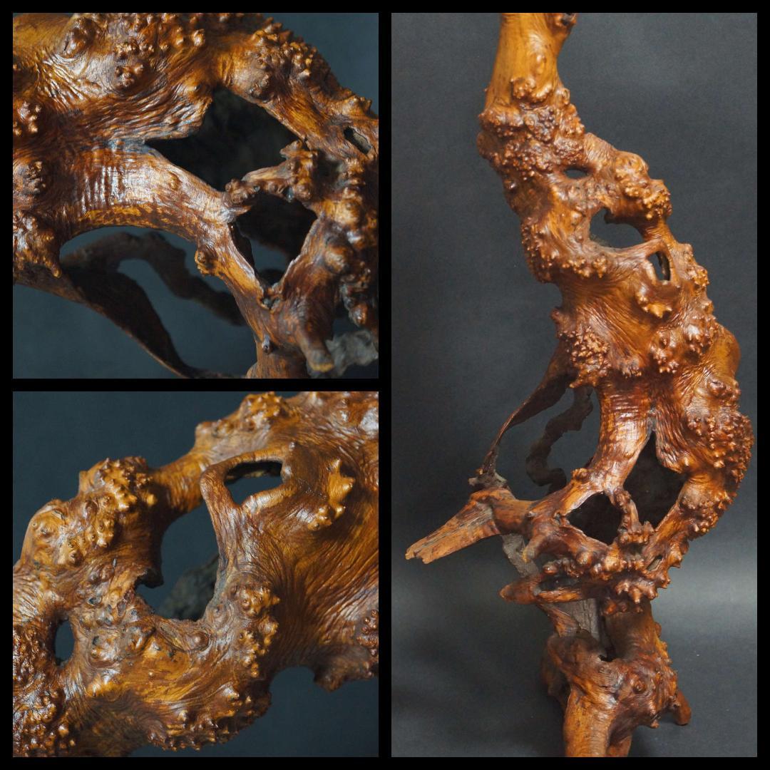 天然花梨木 根瘤 大型鑑賞木 玉杢瘤杢の自然造形オブジェ唯一無二のアートピース