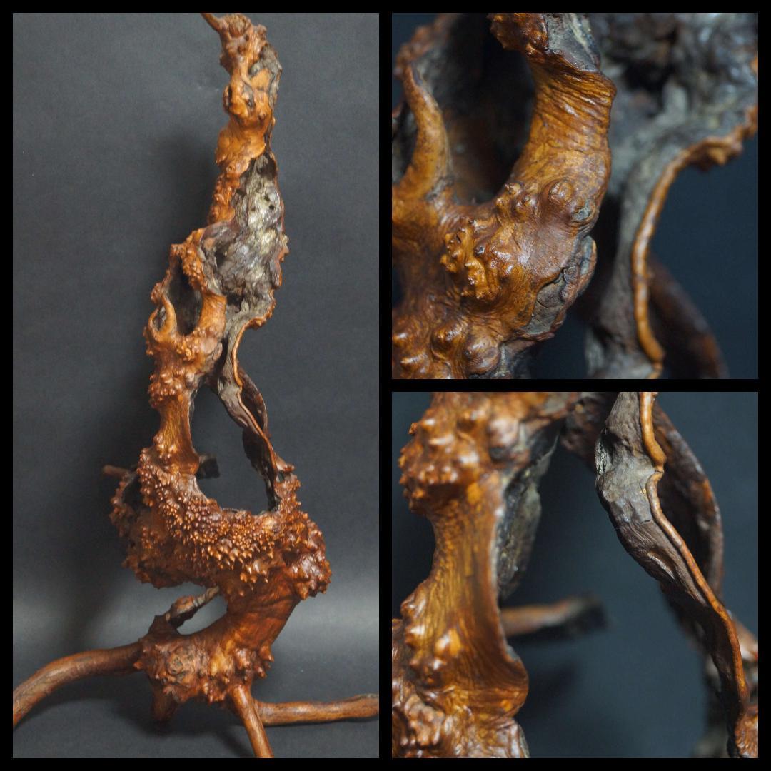 天然花梨木 根瘤 大型鑑賞木 玉杢瘤杢の自然造形オブジェ唯一無二のアートピース