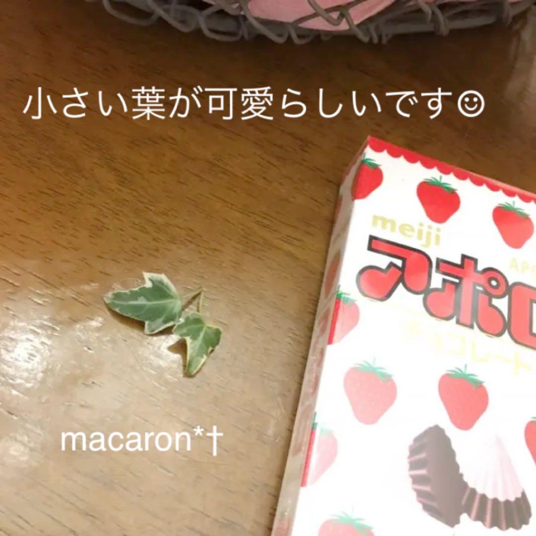 ♡ご確認&ご連絡用♡ニューミニシルバー＊根付きカット枝♡