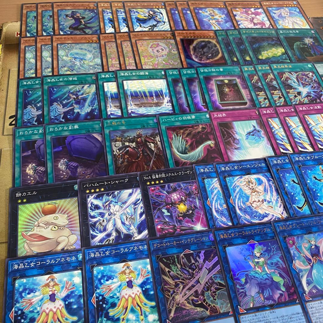 本格構築 海晶乙女 マリンセス デッキ 遊戯王
