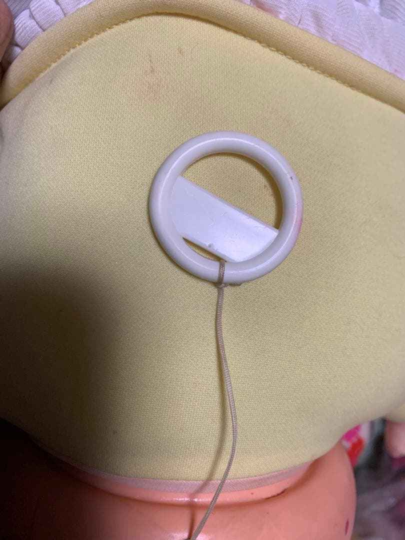 【激レア】恐竜家族　ダイナソーズ　ベイビー　シンクレア