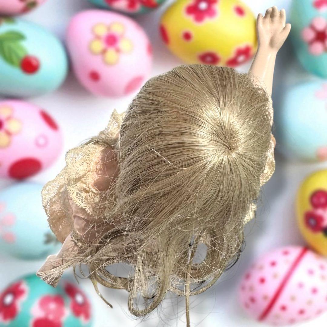 ダックスフンド智 ビスクドール ブリュ ジュン 作家様 ミニョネット