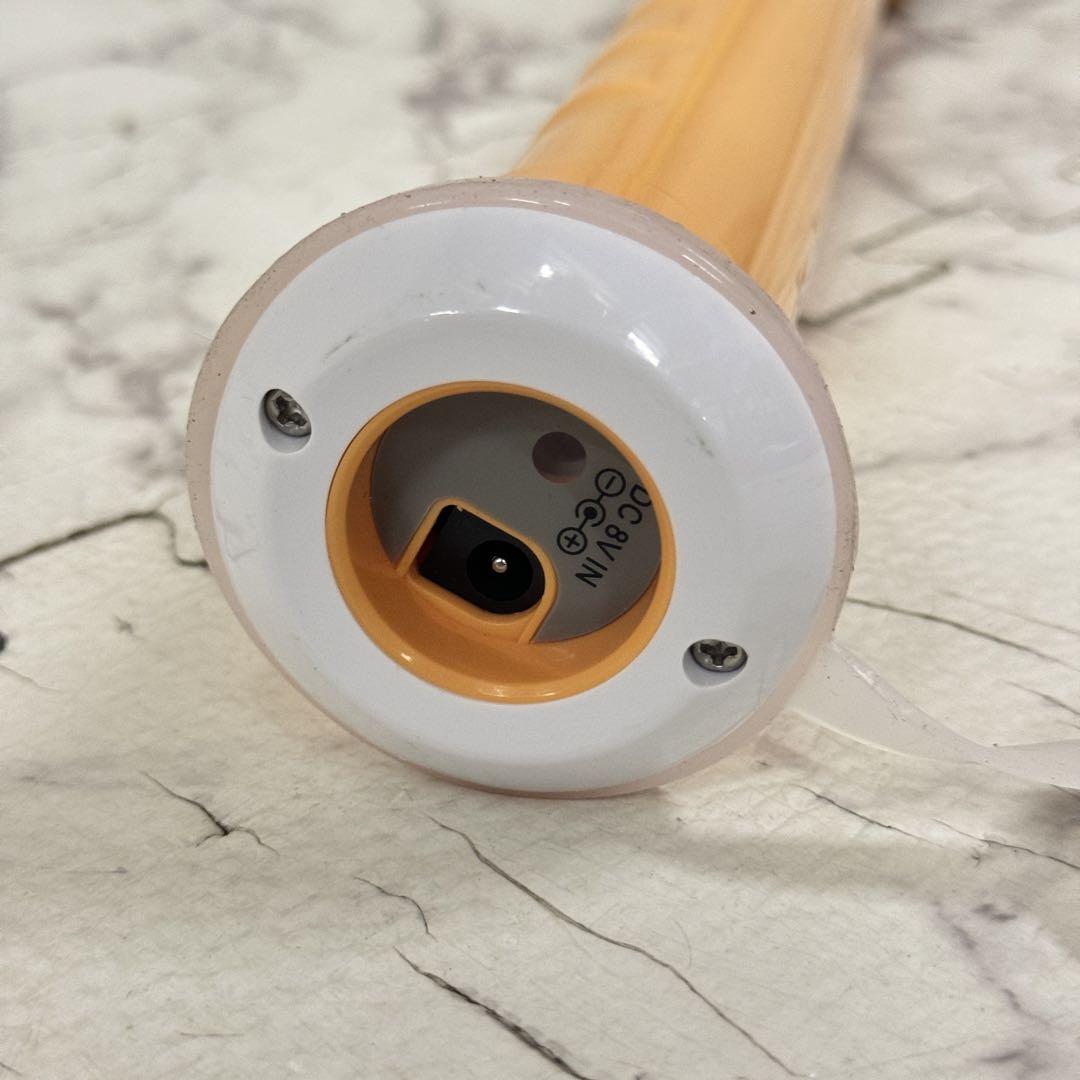 18425 充電式　ロングポリッシャー　2WAY  AY-2029