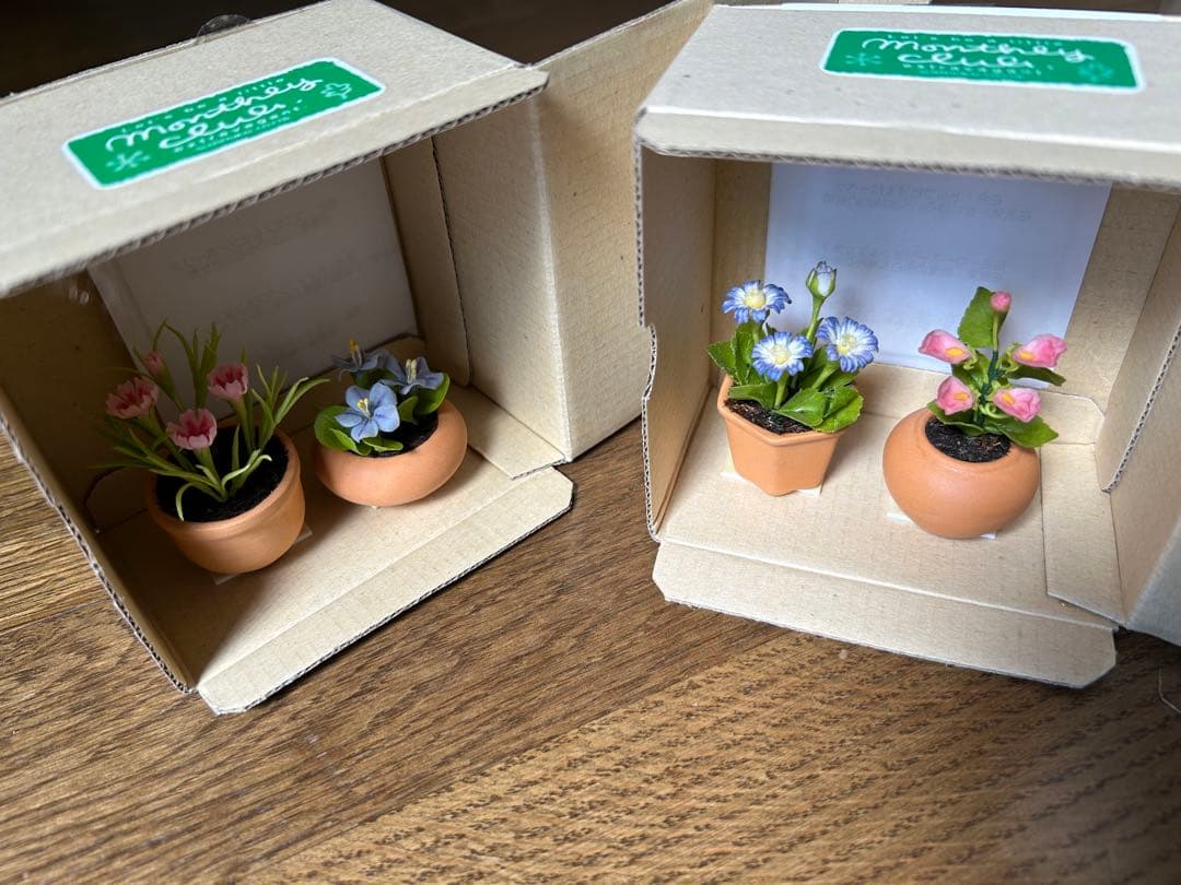 ミニチュアフラワー クレイ小花 千趣会マンスリークラブ 24鉢 未使用