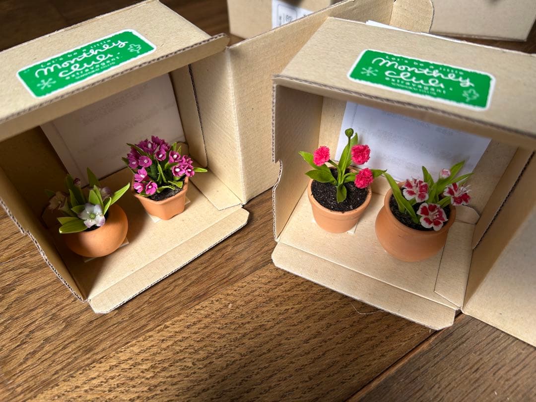 ミニチュアフラワー クレイ小花 千趣会マンスリークラブ 24鉢 未使用