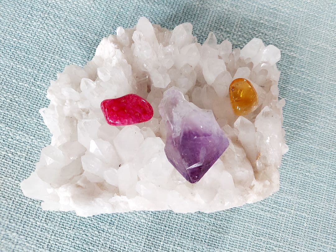 ヒマラヤクラスター　20cm