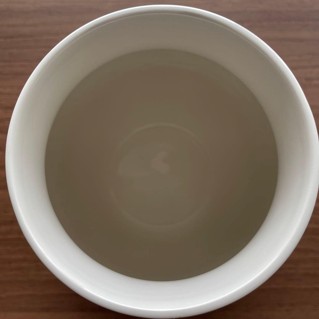 【限定品】ケーラー オマジオ　ゴールド　Mサイズ