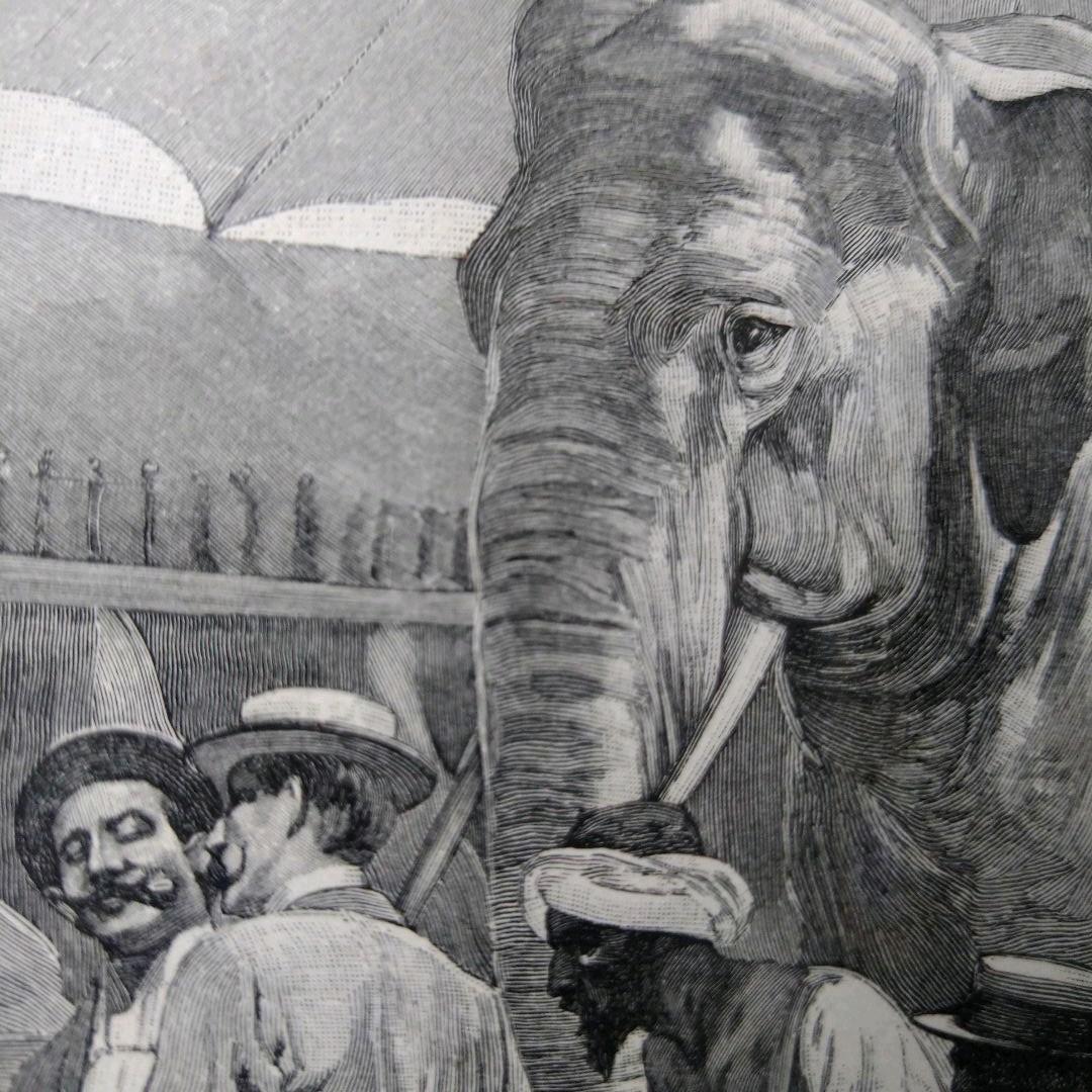 ＊アルフォンス・ミュシャ＊「白い象の伝説」挿絵リトグラフ⑦