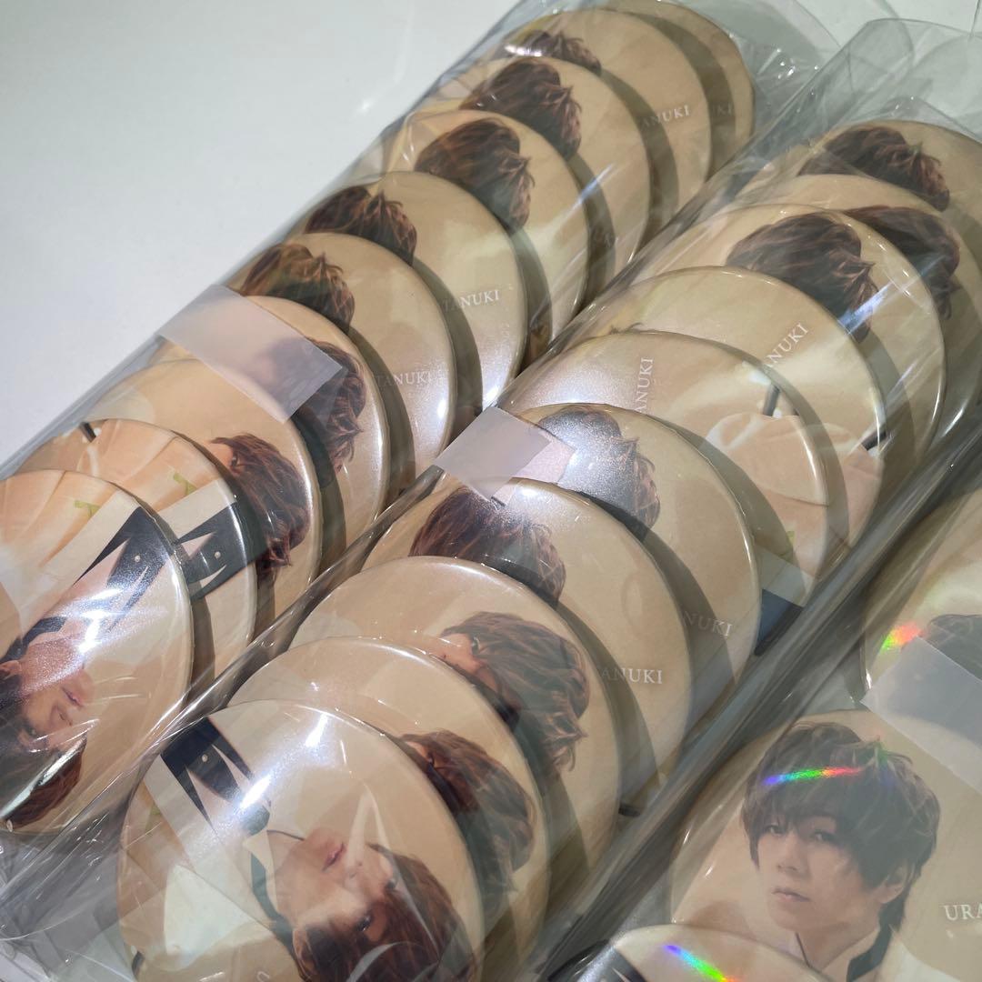 L53.うらたぬき wedding 缶バッジ 浦島坂田船 2024 夏ツ 実写