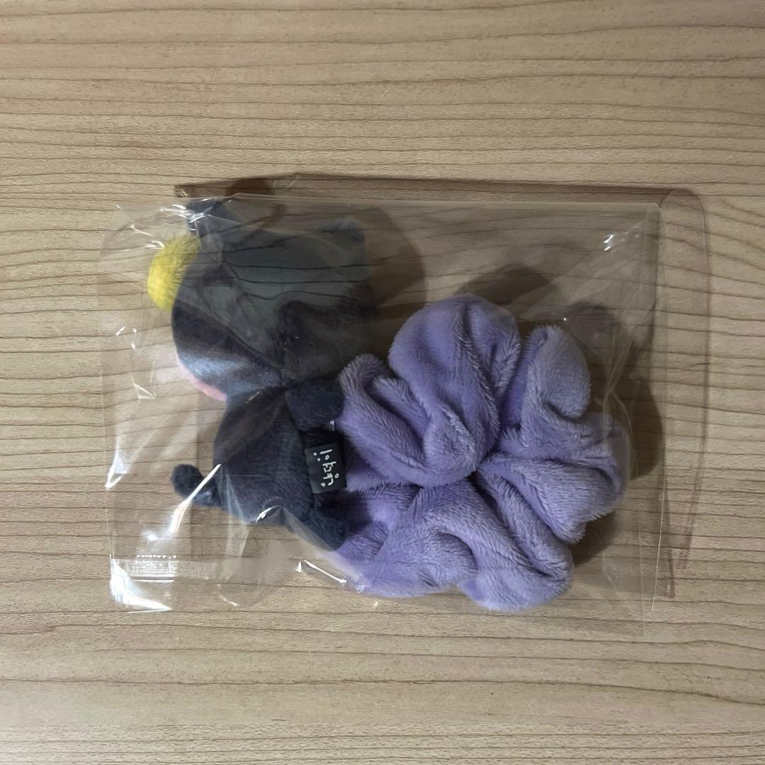 【匿名配送】riize riizing day ソウルコン シュシュ