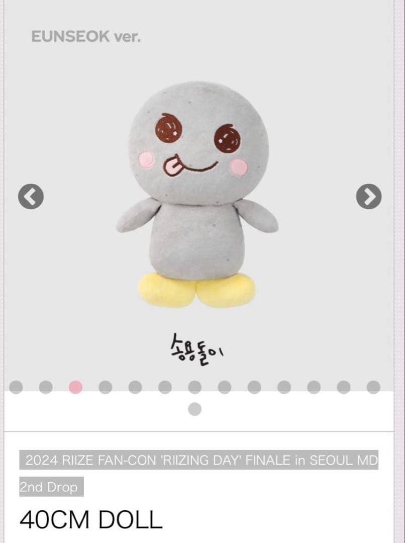 RIIZE 40cm DOLL ソンヨンドリ 即買い購入可