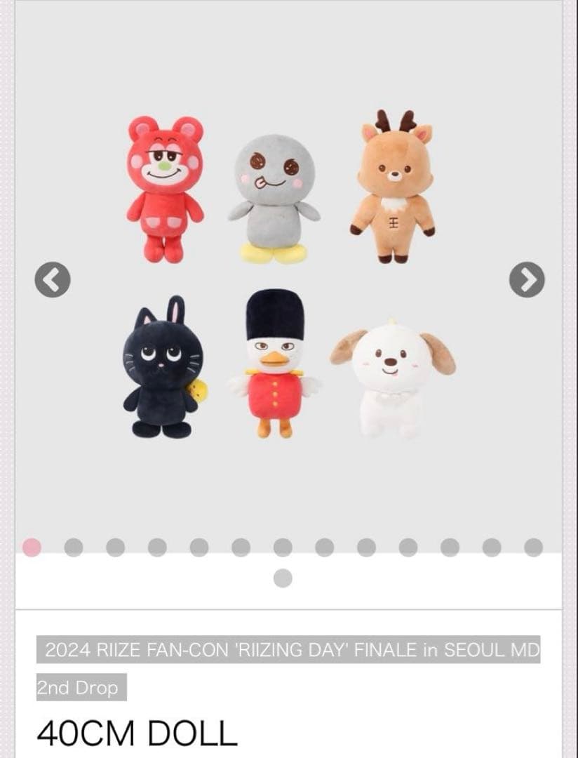 RIIZE 40cm DOLL ソンヨンドリ 即買い購入可