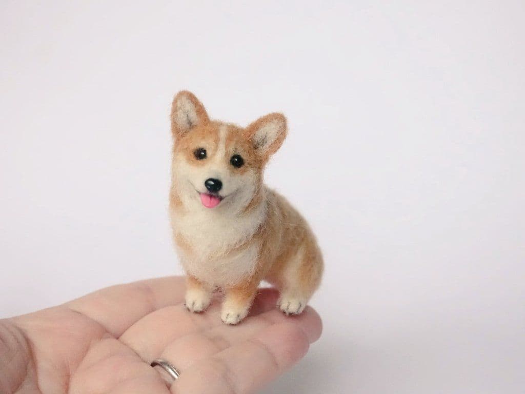 手乗りサイズのコーギーさん♪