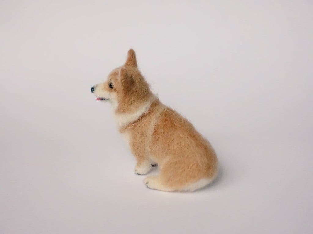 手乗りサイズのコーギーさん♪