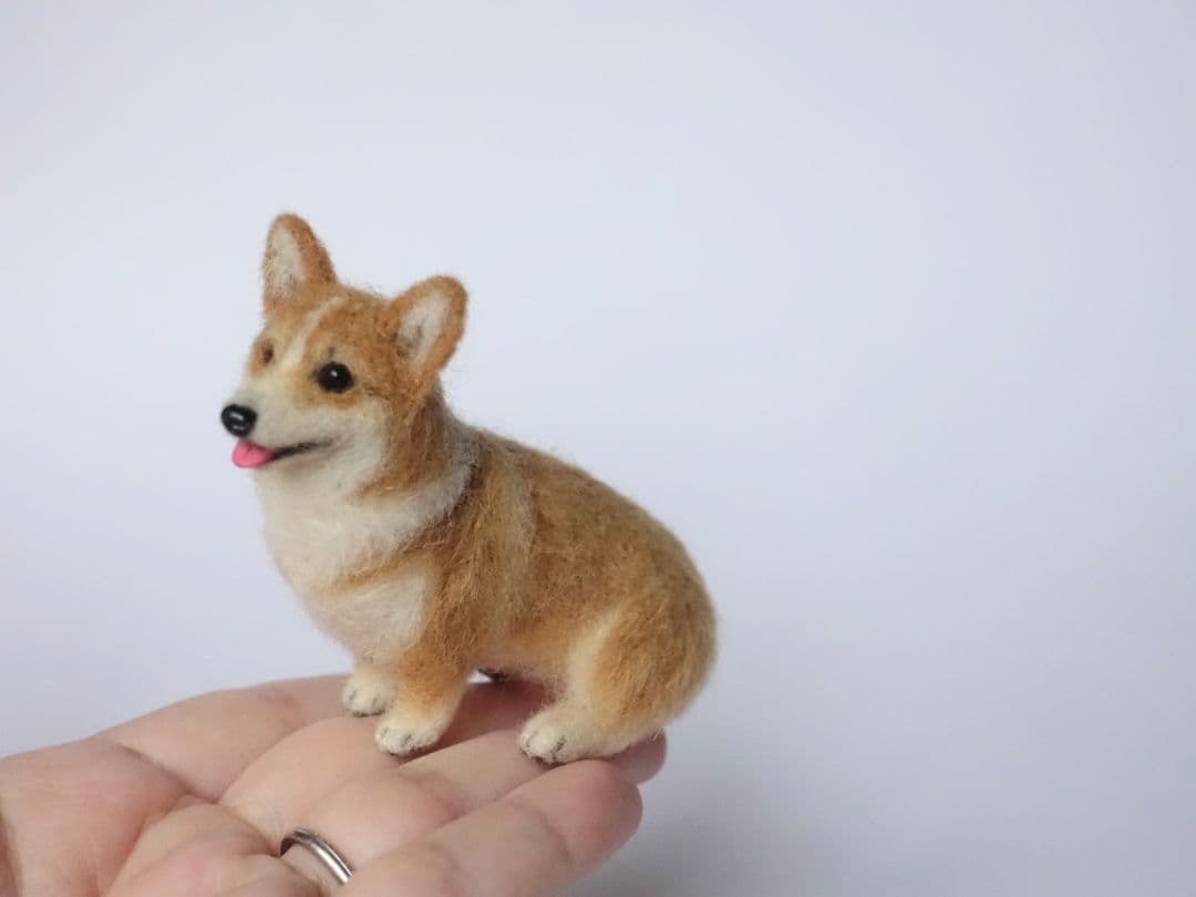 手乗りサイズのコーギーさん♪