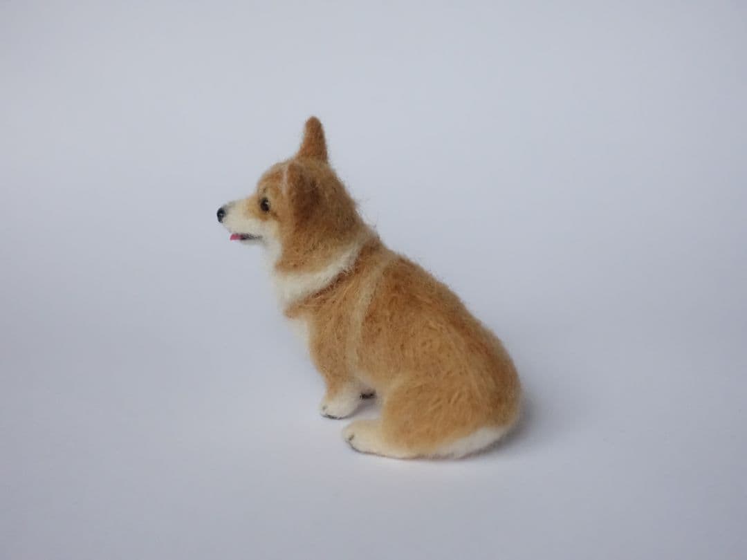 手乗りサイズのコーギーさん♪