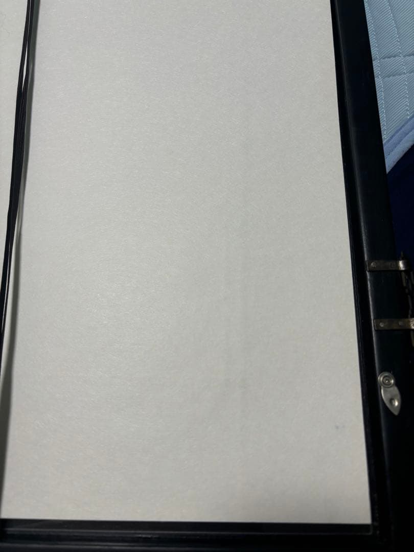 中国美術品　工筆画　陳年　陳半丁　半丁老人　サイズ　59✖️84cm