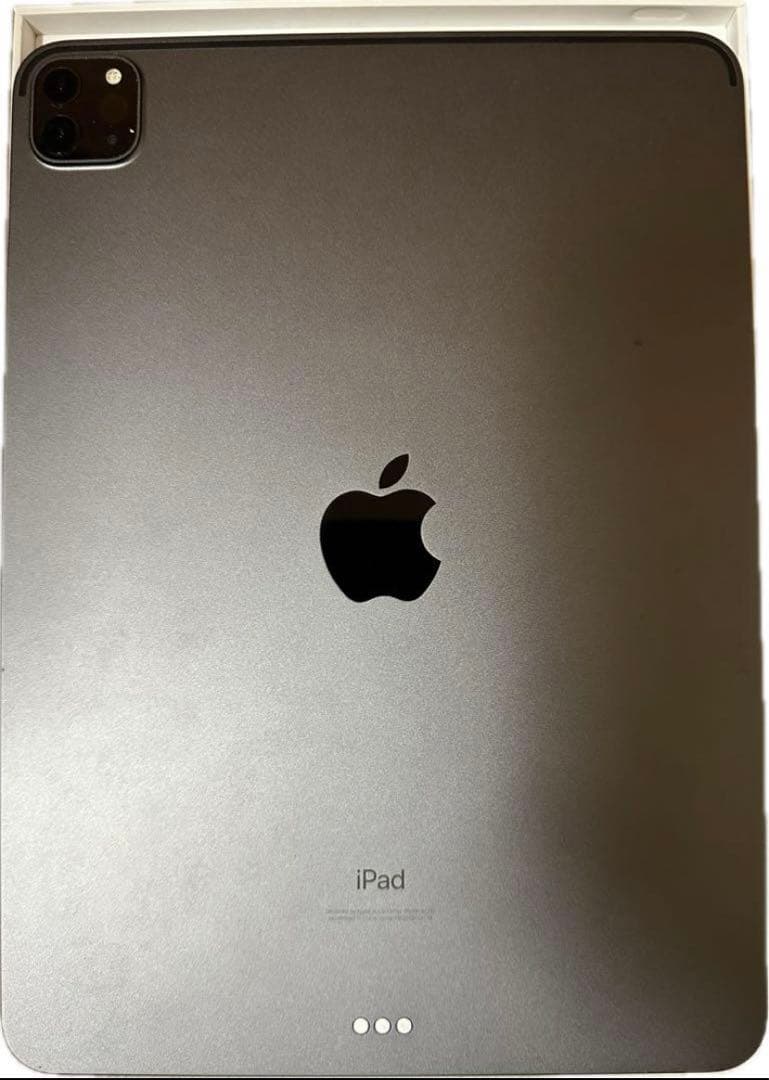 iPad Pro 11インチ（第2世代)