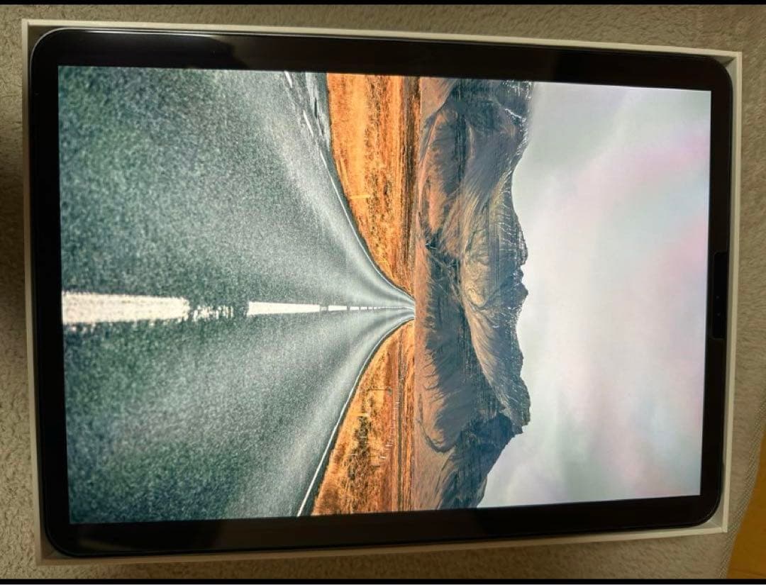 iPad Pro 11インチ（第2世代)