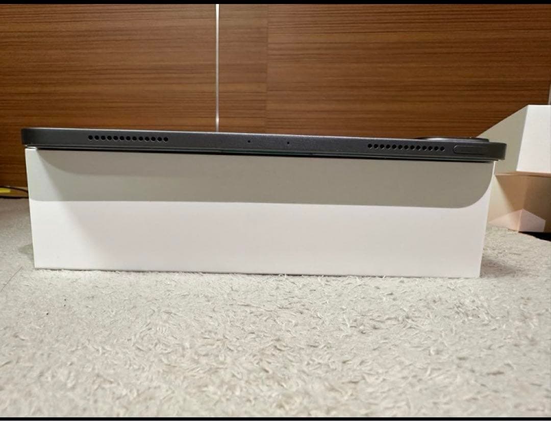 iPad Pro 11インチ（第2世代)