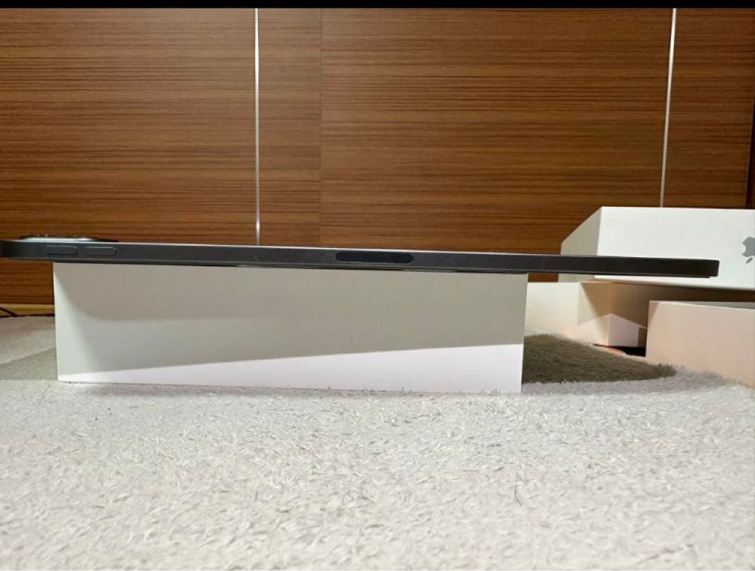 iPad Pro 11インチ（第2世代)