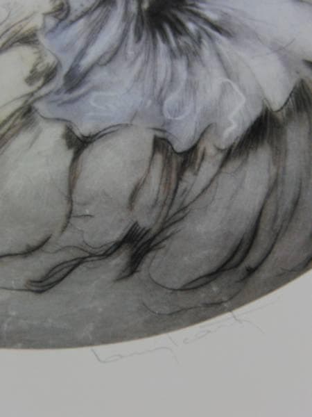 ルイ・イカール、夢見る乙女、豪華限定版・定価１０万３千円、新品額付