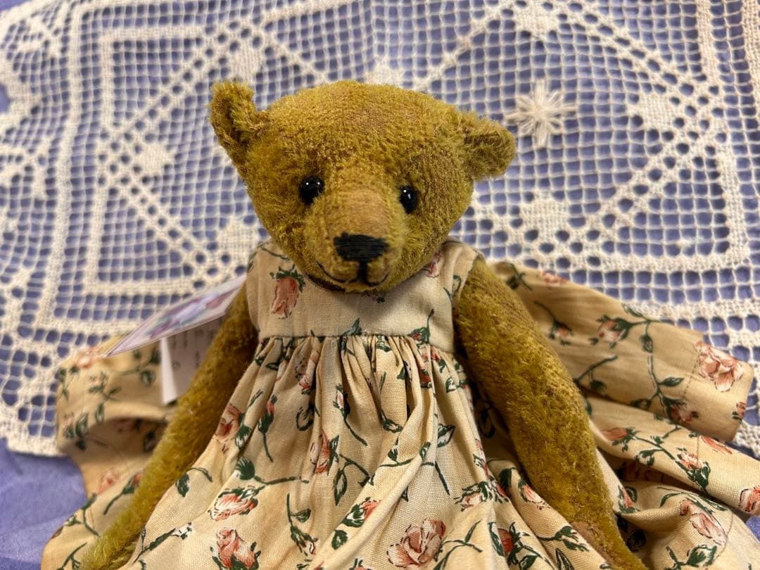 フォーゲットミーノットベア メアリー 海外作家 アーティスト