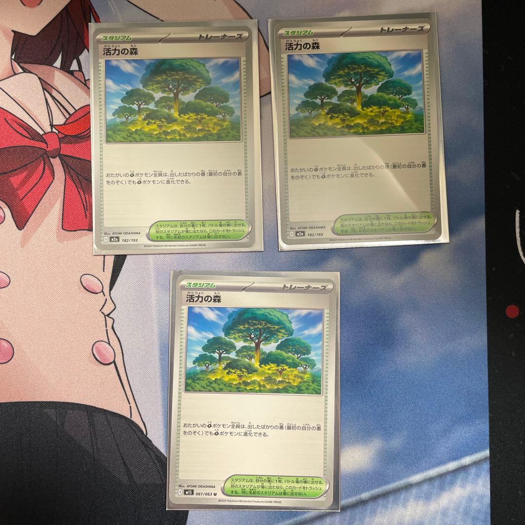 レ*屋様 メガメガニウムex メガフシギバナexデッキ　構築済みデッキ