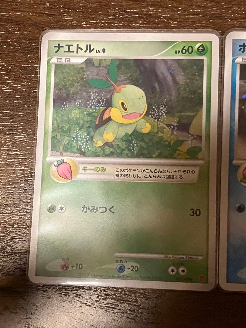 ポケモンカード プレイヤーズ プロモ ナエトル ヒコザル ポッチャマ
