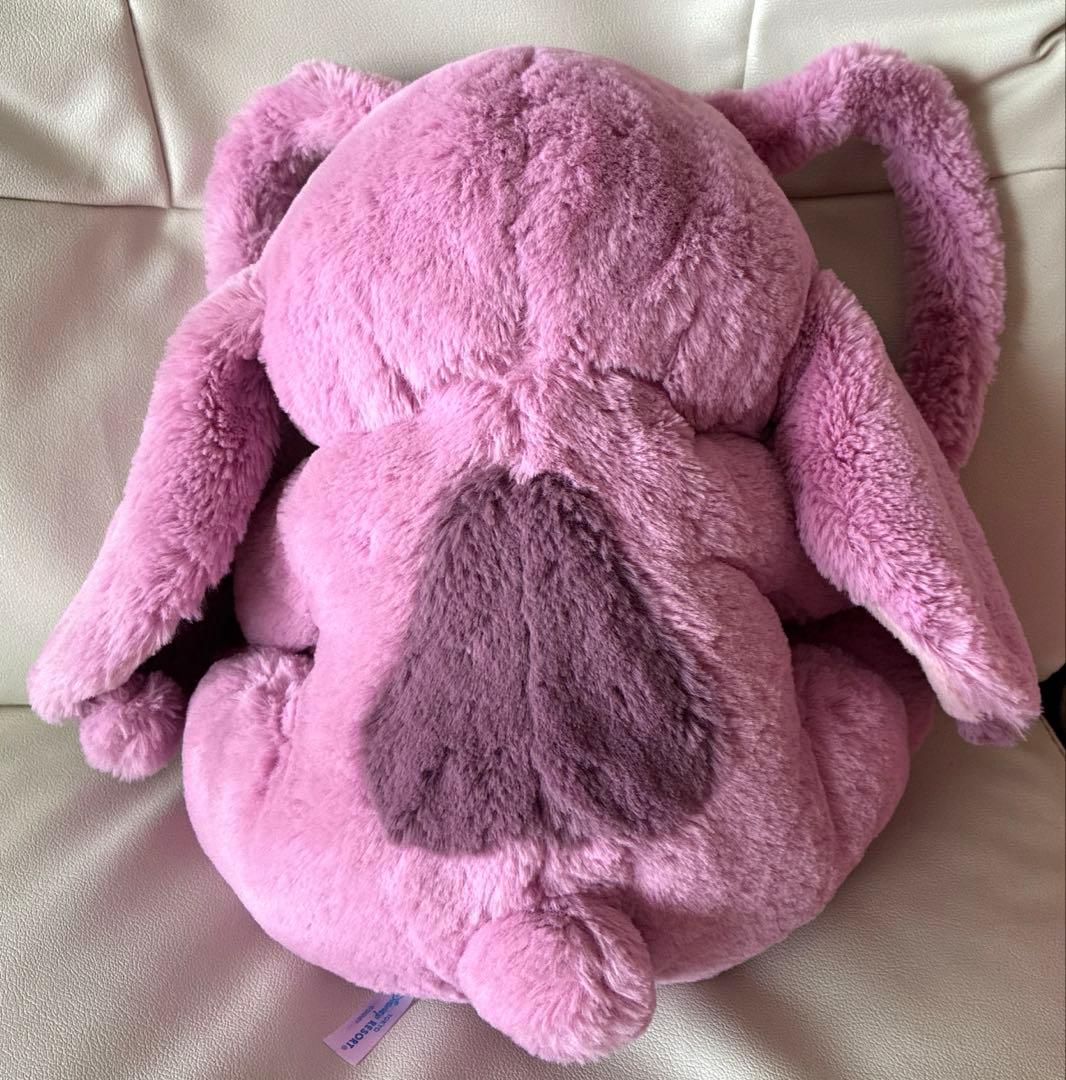 ディズニーランド　エンジェル