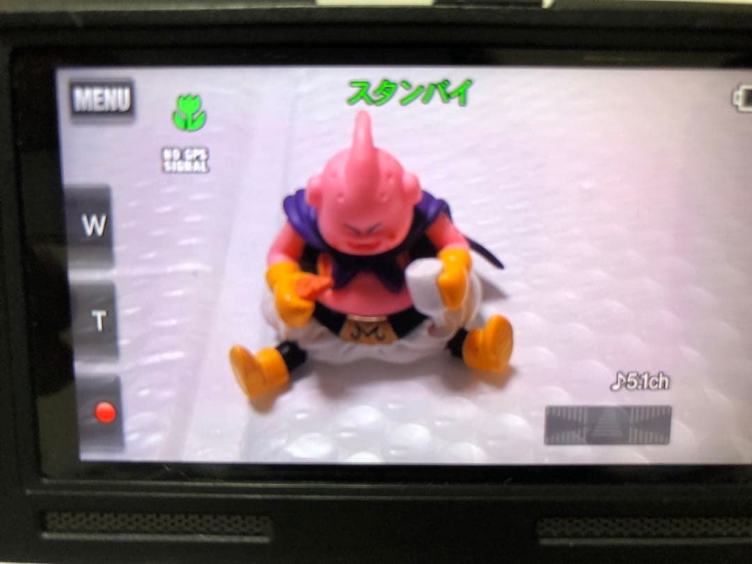 ビデオカメラ SONY HANDYCAM HDR-PJ790V