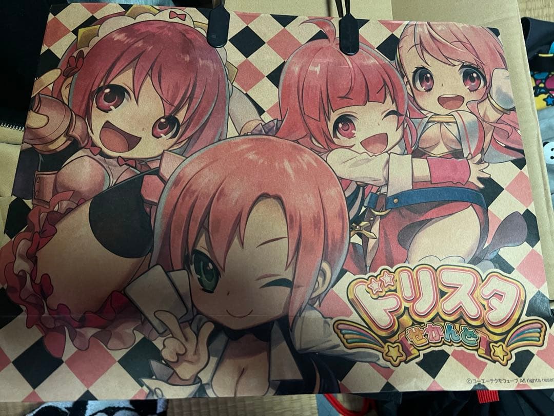 ちょーレア！ドリスタの紙袋とクリアファイル
