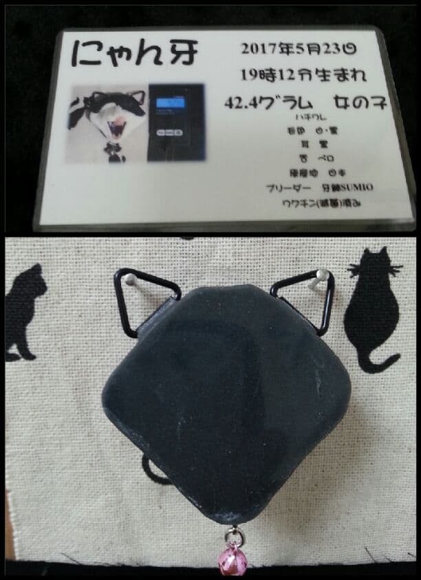 にゃん牙 (白黒ハチワレtype)