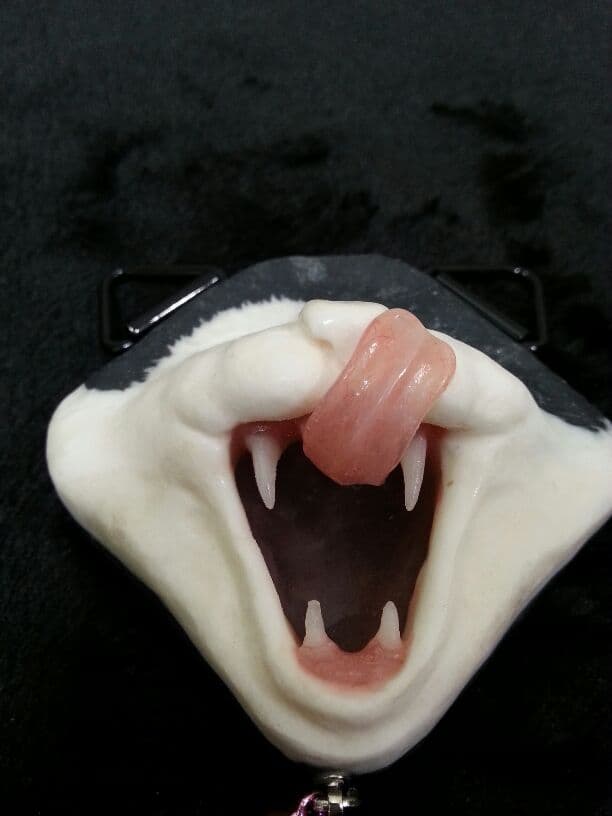 にゃん牙 (白黒ハチワレtype)