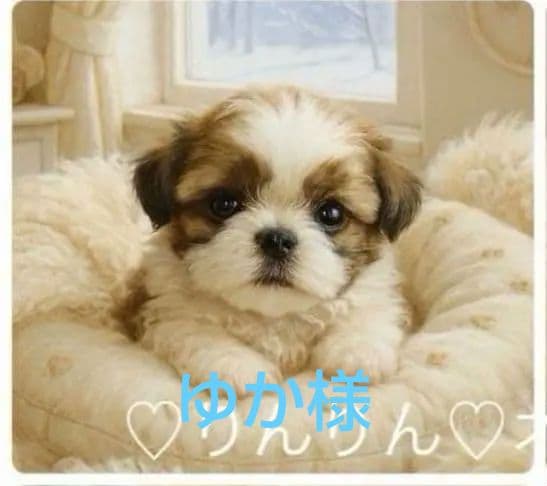 ご確認用　りんりん様パネル　シーズー柄　ハンカチ　ハンドメイド12/14